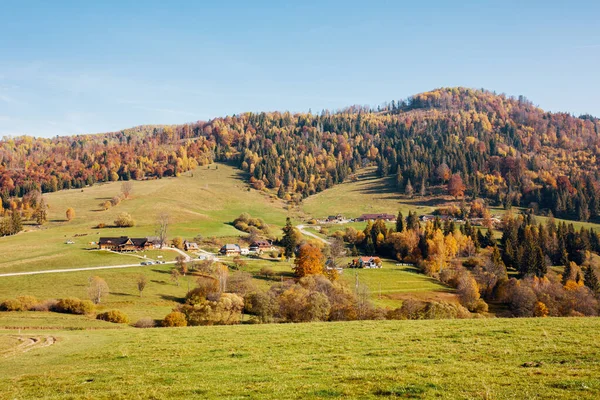 Zbojska 'da sonbahar manzarası, orta Slovakya, Avrupa, çayırlar ve orman