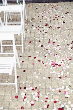 düğün töreninde gül yaprakları ile mayınları yolu