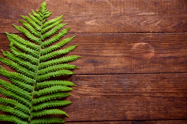 Zielony Liść Paproci Leży Brązowym Drewnianym Tle — Zdjęcie stockowe