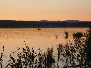 Güzel organik çimen desenleri ve göldeki dallar