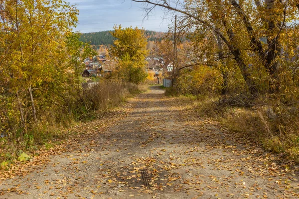 Őszi út haza. Elhagyott üres utcában, színes ősszel, narancssárga fákkal. Gyönyörű őszi szezon a szabadban. — Stock Fotó