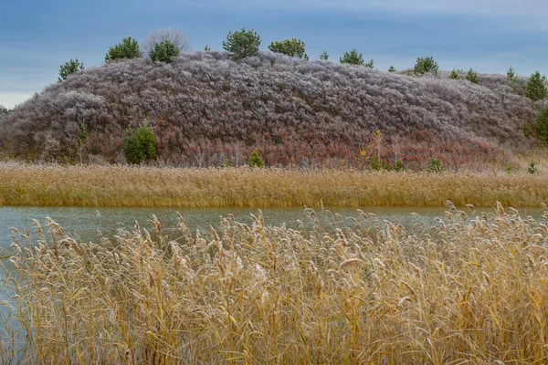 Matin d'automne paysage montagneux avec des buissons de baies, recouvert du premier givre sur le fond de roseaux et d'un lac froid . — Photo
