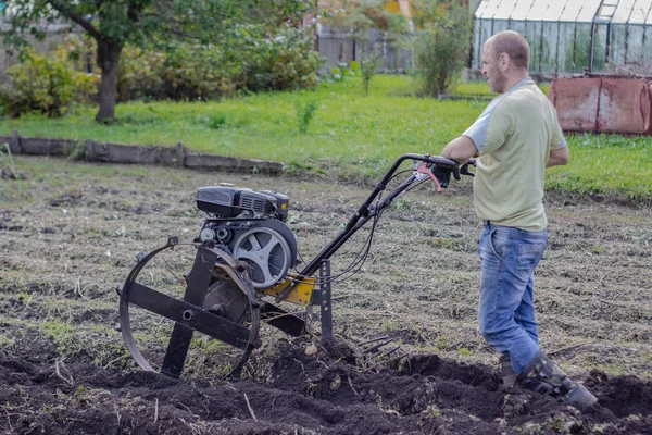 Egy férfi könnyű dzsekiben és farmerben a kertben burgonyát arat kultivátorral. Mezőgazdasági munka a kertben ősszel. — Stock Fotó