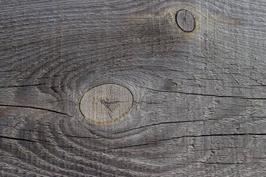 Arka plan için eski ahşap döşeme yüzeyi. Düğümlü ve çatallı ahşap bir tahta. Boşluğu kopyala, gri tahta arkaplan