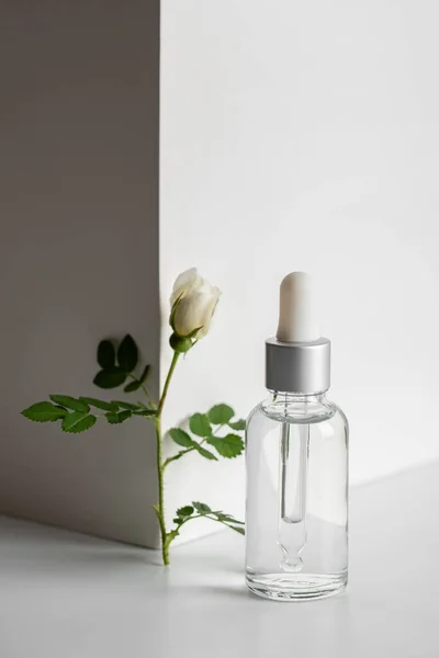 Şeffaf cam bir şişede cilt bakımı için serum, pipetli ve arka planda gül kalçalı. Işık ve gölge oyunu. Güzellik ve sağlık konsepti. Minimalizm