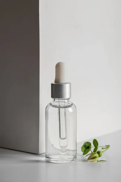 Şeffaf cam bir şişede cilt bakımı için serum, pipetli ve arka planda gül kalçalı. Işık ve gölge oyunu. Güzellik ve sağlık konsepti. Minimalizm