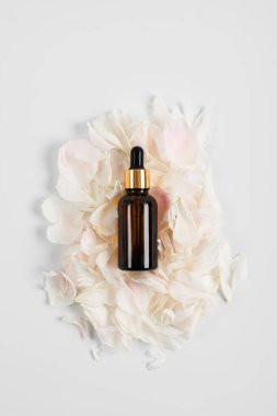 Serumla birlikte cam kahverengi şişe ve şakayık yaprağı üzerindeki deri bakımı için bir pipet. Sağlık ve güzellik kavramı. minimalizm, boşluğu kopyala