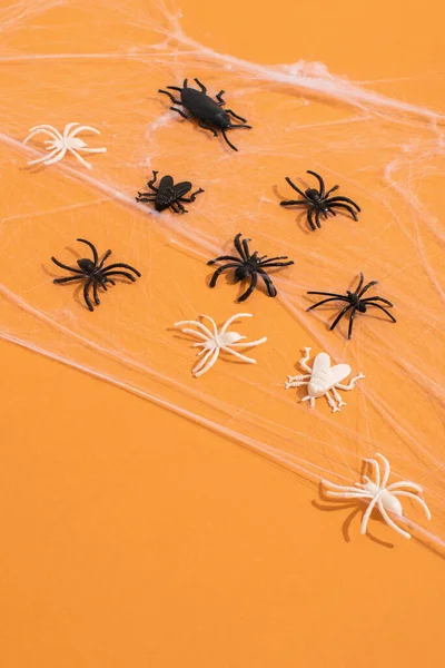 Flat Lay Halloween Background Cobwebs Spiders Bats Orange Background Copy — Stock Photo, Image