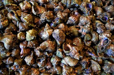 Catania, Sicilya, İtalya 'daki geleneksel balık pazarında deniz ürünleri.