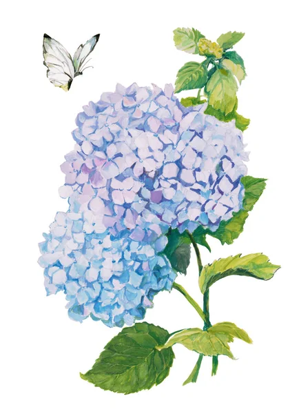 Een Tak Van Hortensia Een Vlinder — Stockfoto