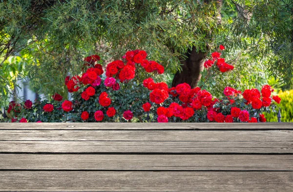 Frot View Holz Regal Tisch Auf Verschwommenem Hintergrund — Stockfoto