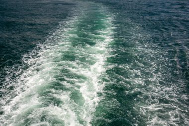 Ön manzara çiçekleri merdivende.