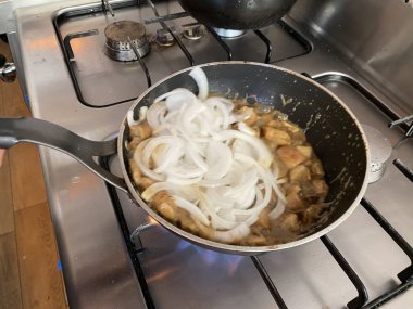 Üst Manzara Porcini Mantarları