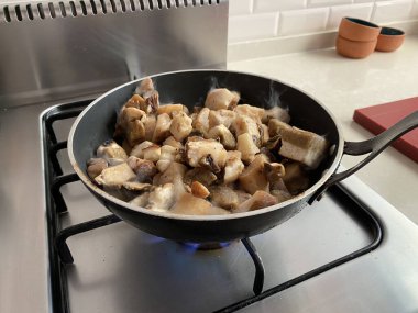 Üst Manzara Porcini Mantarları