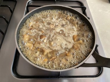 Üst Manzara Porcini Mantarları