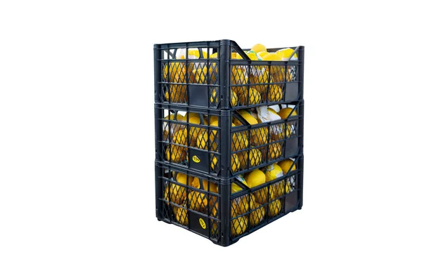 Citron Plastové Pouzdře Izolované Bílé Pozadí — Stock fotografie