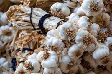 Sarımsak arkaplanını kapat. Seçici odak