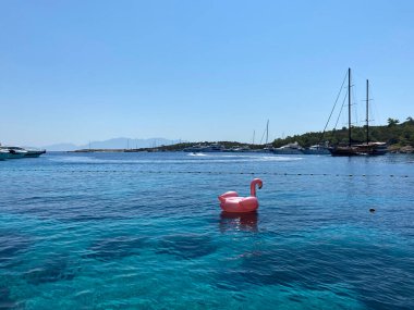 Ön manzara denizde yüzüyor.