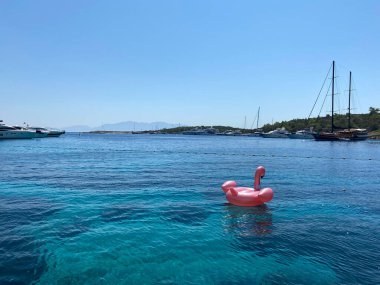 Ön manzara denizde yüzüyor.