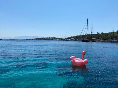 Ön manzara denizde yüzüyor.