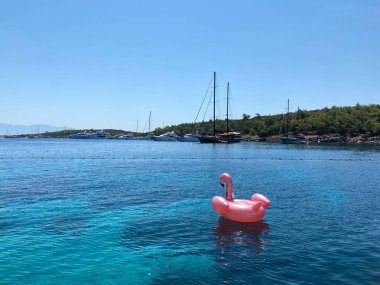 Ön manzara denizde yüzüyor.