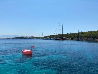 Ön manzara denizde yüzüyor.