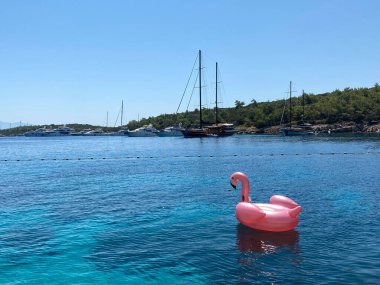 Ön manzara denizde yüzüyor.