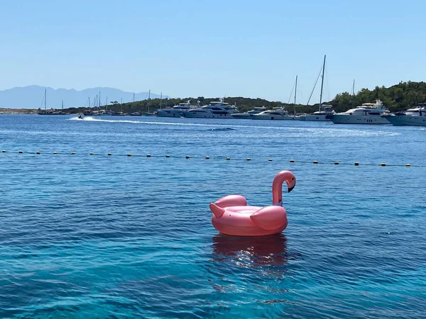 Ön manzara denizde yüzüyor.