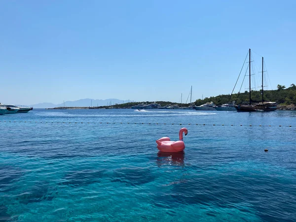 Ön manzara denizde yüzüyor.