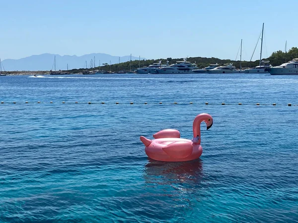 Ön manzara denizde yüzüyor.