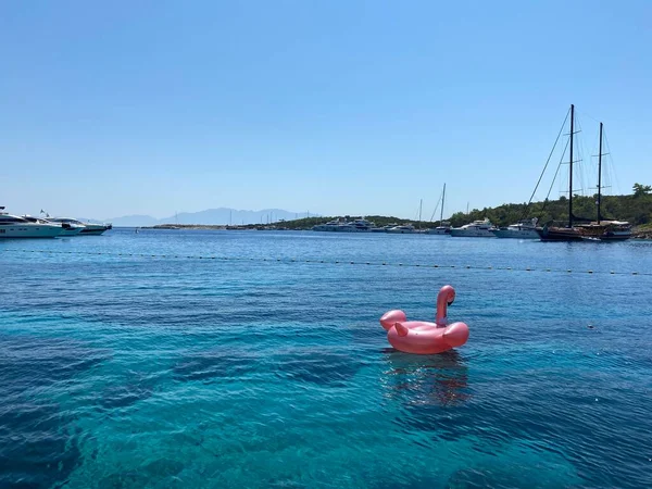 Ön manzara denizde yüzüyor.