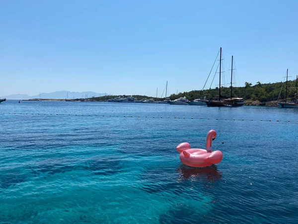 Ön manzara denizde yüzüyor.