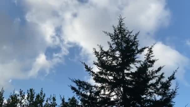 Вид Спереду Хмарний Фон Неба — стокове відео