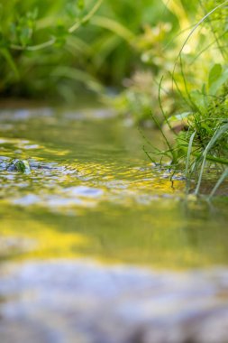 Kristal berrak bir su deresinin suyundaki ipeksi dalgalar, yakın plan görüşlü cennet gibi doğal arka plan, temiz yüzen bir dereyle sağlıklı bir dağ pınarındaki zen meditasyonunu ve küçük dalgaları gösteriyor.