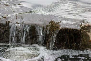 Ormanda güzel küçük şelale