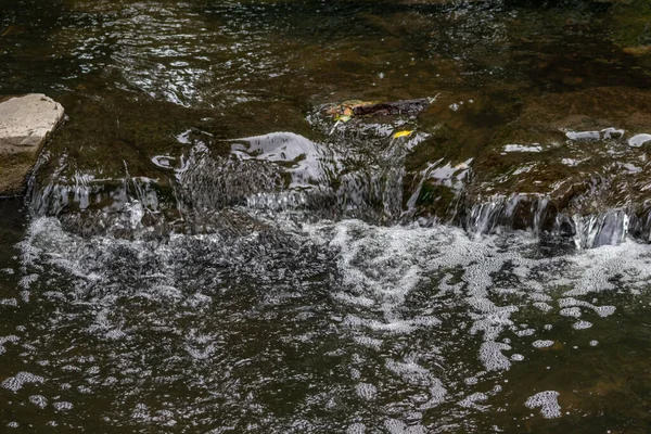 Krásný Malý Vodopád Lese — Stock fotografie