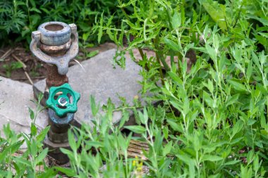 Yeşil bahçede su borusu