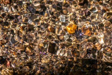 Işıl ışıl suda kayalar, berrak bir su deresinin suyunda yansıyan güneşli yansımalarla doğal arka planda zen meditasyonu, küçük dalgalar ve sağlıklı bir dağdaki ipeksi dalgalar görülüyor.