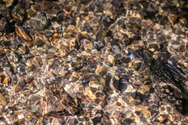 Işıl ışıl suda kayalar, berrak bir su deresinin suyunda yansıyan güneşli yansımalarla doğal arka planda zen meditasyonu, küçük dalgalar ve sağlıklı bir dağdaki ipeksi dalgalar görülüyor.