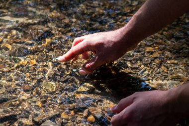 Avrupalı bir erkek el, ferahlatıcı bir zen atmosferde kristal gibi berrak bir suyun içinde ipeksi dalgalar ve yüzen dalgalar ve suda taş arayan güneşli yansımalarla.