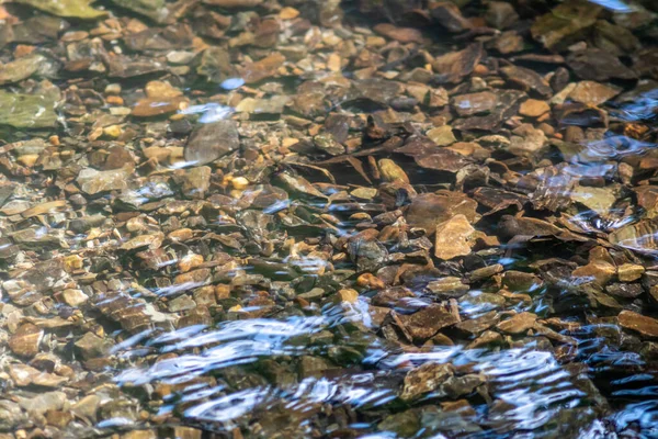 クリスタルクリアウォータークリークの水の中に日当たりの良い反射を持つ輝く水の中の石は 牧歌的な自然背景として禅の瞑想 小さな波と健康な山の春に絹のような波紋を示しています — ストック写真