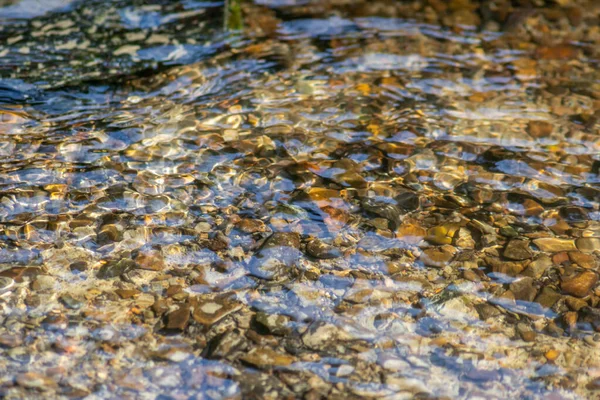 Pietre Acqua Frizzante Con Riflessi Soleggiati Acqua Torrente Cristallino Come — Foto Stock