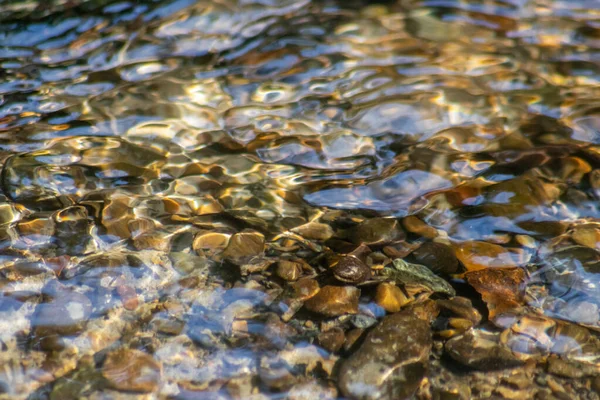 クリスタルクリアウォータークリークの水の中に日当たりの良い反射を持つ輝く水の中の石は 牧歌的な自然背景として禅の瞑想 小さな波と健康な山の春に絹のような波紋を示しています — ストック写真