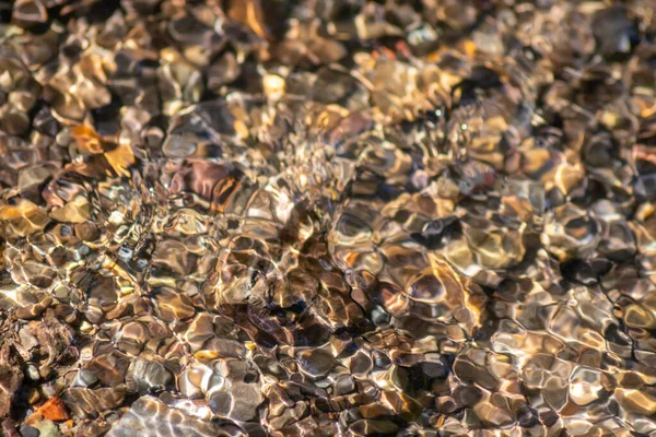 Pietre Acqua Frizzante Con Riflessi Soleggiati Acqua Torrente Cristallino Come — Foto Stock