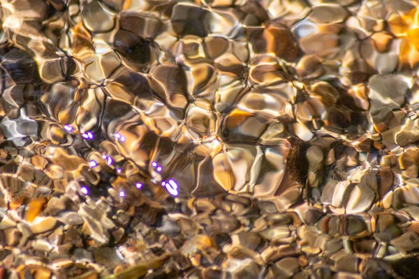 Stones in sparkling water with sunny reflections in water of a crystal clear water creek as idyllic natural background shows zen meditation, little waves and silky ripples in a healthy mountain spring