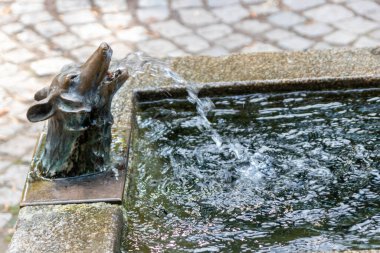 Su çeşmesi ve kurt başı heykeli. Yaklaş.