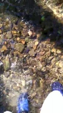 Mavi su ayakkabılarıyla gezen bir adam yaz tatilinde berrak bir derede berrak suyla yürüyor. Yürüyen ayaklarının üzerinde yüzen sığ suda güneşli yansımalar var.