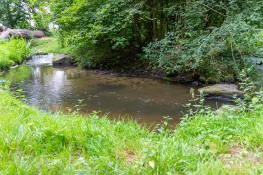 Su kristal berrak su ile sakin bir dere ve deniz yolu boyunca yürüyüş yapmak için cennet manzarası. Yeşil bir orman ve temiz havası olan manzaralı vahşi doğanın tadını çıkarmak için.