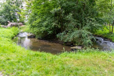 Su kristal berrak su ile sakin bir dere ve deniz yolu boyunca yürüyüş yapmak için cennet manzarası. Yeşil bir orman ve temiz havası olan manzaralı vahşi doğanın tadını çıkarmak için.