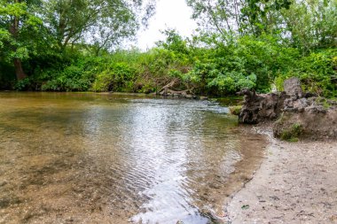 Su kristal berrak su ile sakin bir dere ve deniz yolu boyunca yürüyüş yapmak için cennet manzarası. Yeşil bir orman ve temiz havası olan manzaralı vahşi doğanın tadını çıkarmak için.